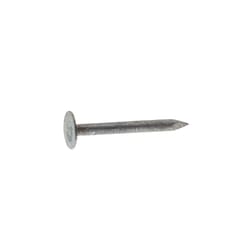 Grip-Rite 1-1/2 in. Roofing Electro-Galvanized Steel Nail Flat Head 1 lb