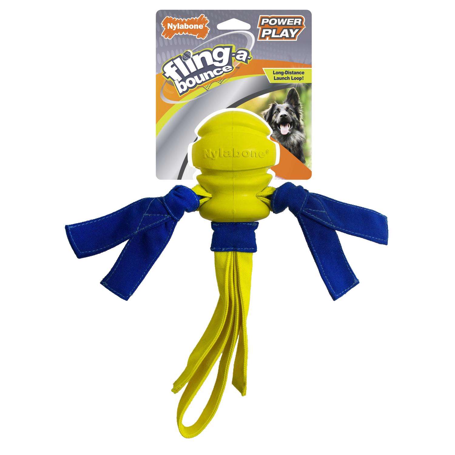 Nylabone Power Play Blue/Yellow Canvas/Rubber FlingaBounce Fetch Toy