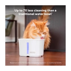 Petsafe White Plastic 64 oz Pet Water Fountain For All Pets