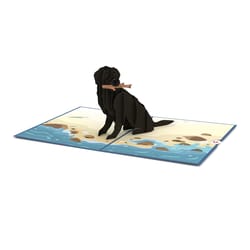 Lovepop Pop-Up Greeting Card Black Lab