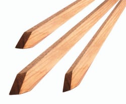 Bond 4 in. H X 1 in. W X 1 in. D Brown Wood Garden Stakes