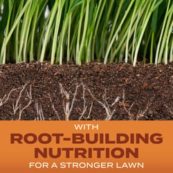Scotts Turf Builder Bermuda Grass Sun or Shade Fertilizer/Seed/Soil Improver 8 lb