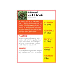 Lake Valley Seed Lettuce Seeds 1 pk