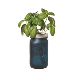 Modern Sprout Basil Grow Kit 1 pk