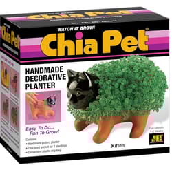 Chia Pet Kitten Decorative Planter Clay 1 pk