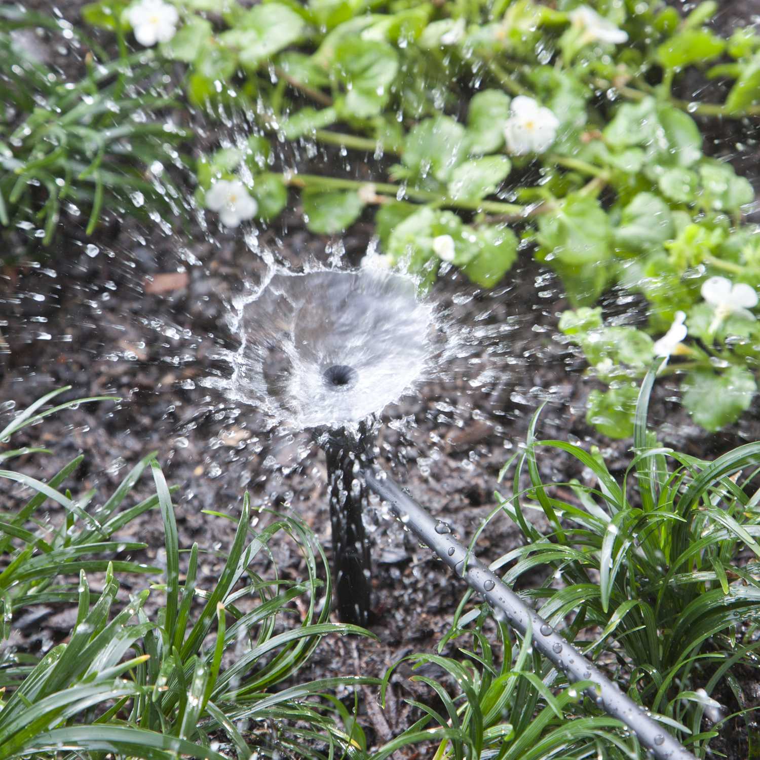 Raindrip Drip Irrigation Bubbler Ace Hardware