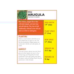 Lake Valley Seed Arugula Seeds 1 pk
