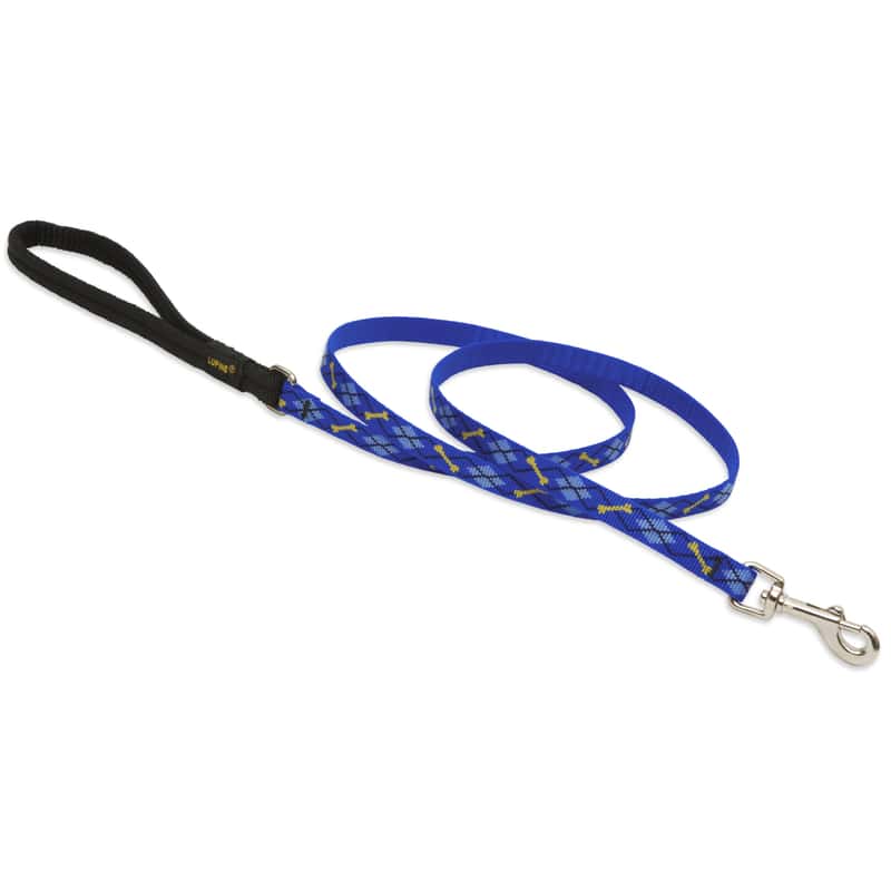 Lupine Pet Original Designs Multicolor Dapper Dog Nylon Dog Leash Ace