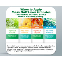 Lilly Miller Moss Out Moss Killer Granules 3 lb