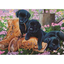 Cobble Hill Black Lab Puppies Tray Puzzle Multicolored 35 pc