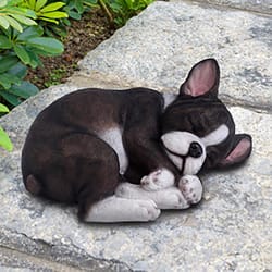 Exhart Resin Black/White 11 in. French Bulldog Laying Garden Statue