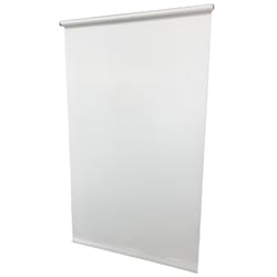 Friedland Venus White Window Roller Shade 55 in. W X 72 in. L