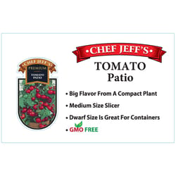 Chef Jeff Red Premium Patio Tomato Vegetable Plant