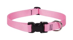 LupinePet Basic Solids Pink Pink Nylon Dog Adjustable Collar