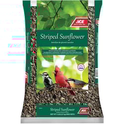 Ace Wild Bird Food 5 lb