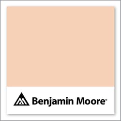 Benjamin Moore Forever Young 066
