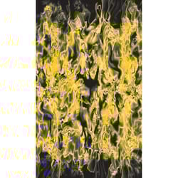 PineCar Body Skin Multicolored