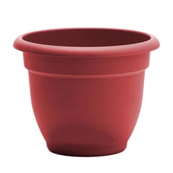 Bloem Ariana 7 in. H X 8.75 in. W X 8 in. D Plastic Traditional Planter Burnt Red