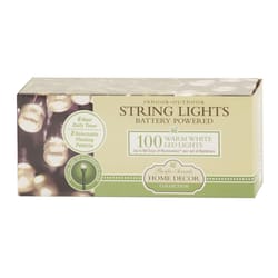 Flipo Pacific Accents LED Mini Warm White 100 ct String Light String 32 ft.