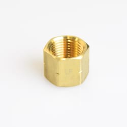 ATC 3/8 in. FPT Brass Cap