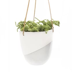 Chive Bobbin 5 in. D Porcelain Hanging Planter White