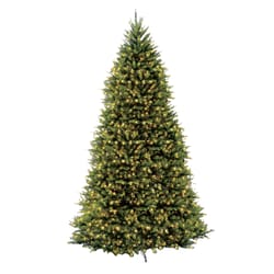 National Tree 12 ft. Full Incandescent 1200 ct Dunhill Fir Christmas Tree