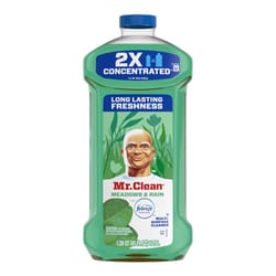 Mr. Clean Meadows and Rain Scent Concentrated Multi-Surface Cleaner Liquid 41 oz