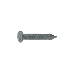 Grip-Rite 3 in. Masonry Bright Steel Nail T-Head Head 1 lb