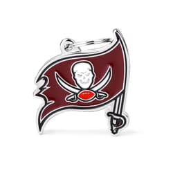 MyFamily NFL Brown Tampa Bay Buccaneers Metal Pet Tags