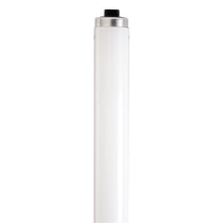 Satco 110 W T12 1.5 in. D X 93.91 in. L Fluorescent Bulb Daylight Linear 6500 K 1 pk