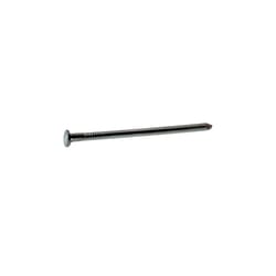 Grip-Rite 10D 3 in. Common Bright Steel Nail Flat Head 30 lb