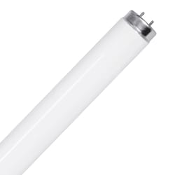 Feit Legacy Bulbs 15 W T12 1.5 in. D X 17.4 in. L Fluorescent Bulb Cool White Linear 4100 K 1 pk