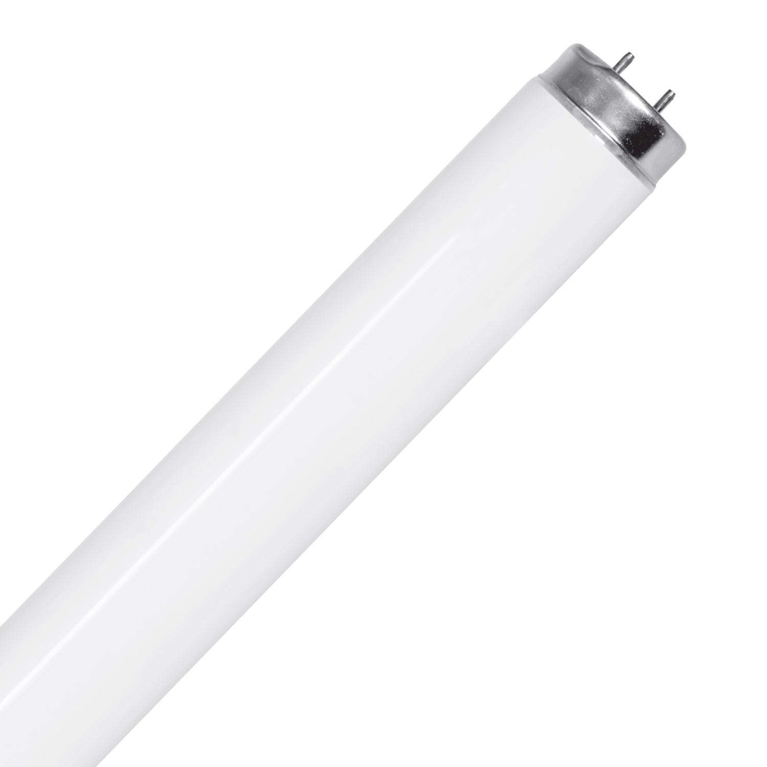 Feit Legacy Bulbs 15 W T12 1.5 in. D X 17.4 in. L Fluorescent Bulb Cool White Linear 4100 K 1 pk Mfr F15T12 CW RP Ace Hardware
