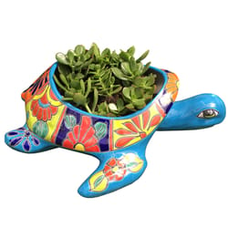 Avera Products Talavera 6 in. H X 16 in. W Ceramic Talavera Planter Assorted