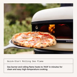 Gozney Dome S1 Liquid Propane Pizza Oven Bone