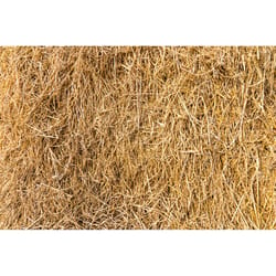 Locally Sourced Straw Bale