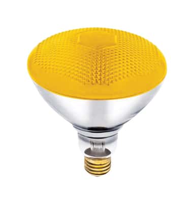 Westinghouse Bug Light 100 Watt E26 Floodlight Incandescent Bulb