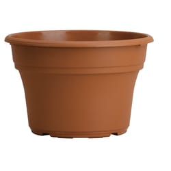 HC Companies Panterra 5.12 in. H X 6 in. D Plastic Texture Planter Clay