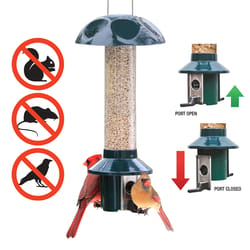 Roamwild PestOff Wild Bird 2.9 lb. cap. Metal Bird Feeder 2 ports