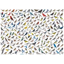 Eurographics The World of Birds Jigsaw Puzzles Multicolored 1000 pc