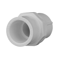 Charlotte Pipe Schedule 40 1/2 in. Slip X 1/2 in. D FPT PVC Pipe Adapter 1 pk