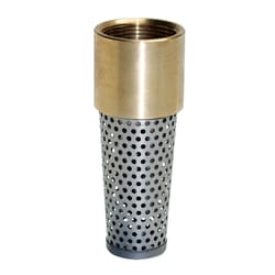 Water Source Brass 2 in. Foot Valve