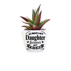 Sentiment Succulents 4 in. H X 2.25 in. L Multicolored Plastic Planter