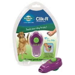 PetSafe Clik-R Purple Plastic Dog Toy Small 1 pc