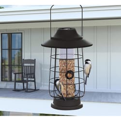 Woodlink Modern Farmhouse 0.5 lb Metal Solar Lantern Tube Bird Feeder