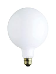 Westinghouse 60 W G40 Globe Incandescent Bulb E26 (Medium) White 1 pk