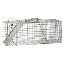 Drop In The Bucket, INC. Medium Multiple Catch Animal Trap For Mice/Voles/Ground  Squirrels/Rats 1 pk - Ace Hardware