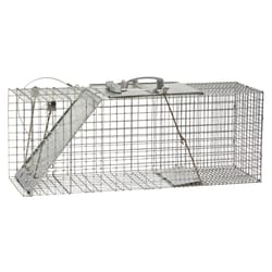 Animal Traps: Traps for Mice, Rats & Squirrels at Ace Hardware