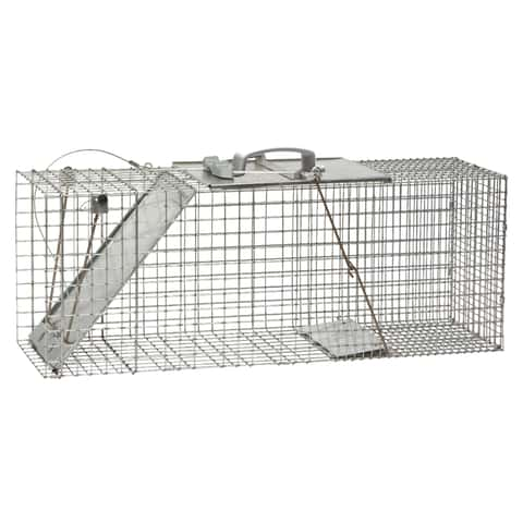 Humane Catch Release Live Animal Collapsible Galvanized Wire Trap Cage