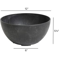 Novelty Artstone 5.9 in. H X 12.2 in. W X 12.2 in. D X 12.2 in. D Resin Napa Bowl Planter Black